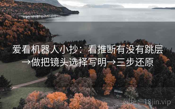 爱看机器人小抄：看推断有没有跳层→做把镜头选择写明→三步还原