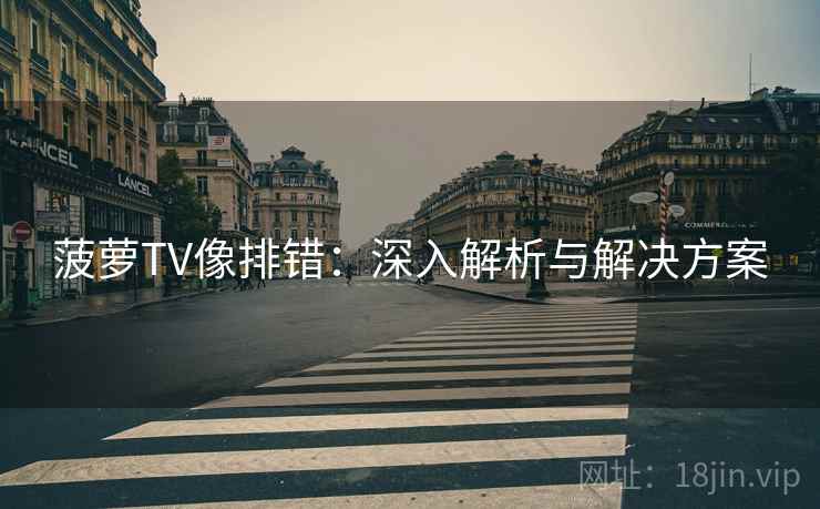 菠萝TV像排错：深入解析与解决方案